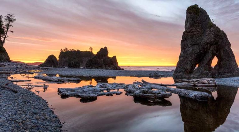 Best Hiking in Olympic National Park Discover the diversity of ecosystems and trails within Olympic National Park