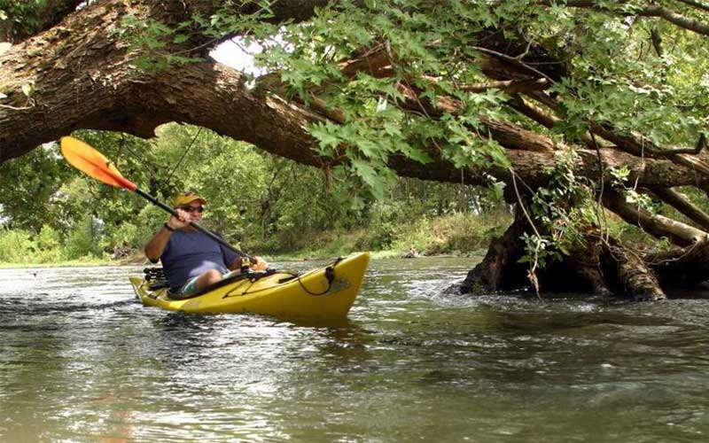  Eleven Point National Scenic River 