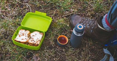 How to Keep Food Cold While Backpacking?