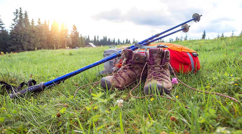Best Budget Trekking Poles of 2024 - Pure Hiker