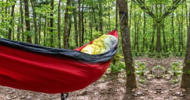 A backpacker's hammock and sleeping bag are suspended between trees at an Appalachian Trail campsite near Georgia's Chattahoochee Gap.