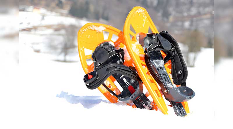 Best Snowshoes for Backcountry