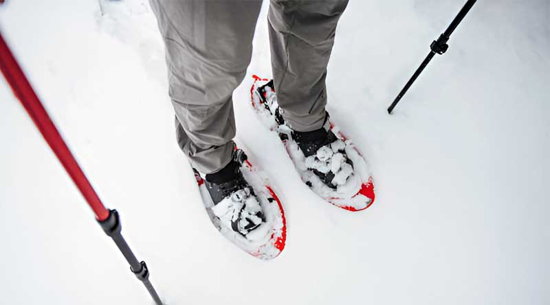 Best Snowshoes for Backpacking