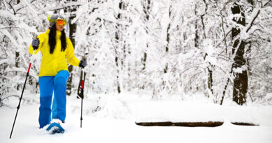 Best Snowshoeing Poles