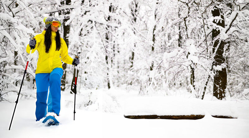 Best Snowshoeing Poles