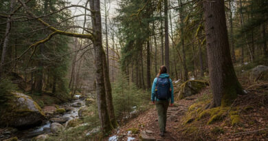 Best Day Backpacks For Petite Females