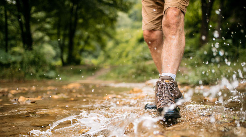 Best Gore-Tex Hiking Boots