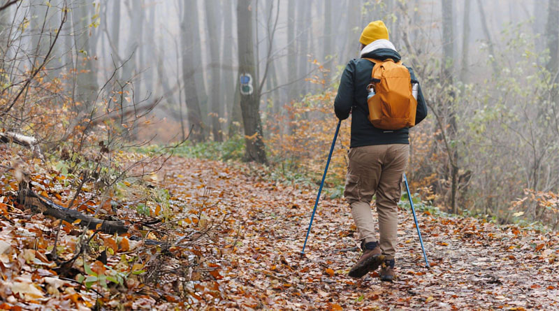 Best Overnight Hiking Backpacks