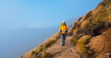 Best Vegan Hiking Boots