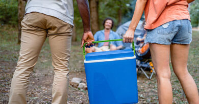 Best Budget Camping Coolers