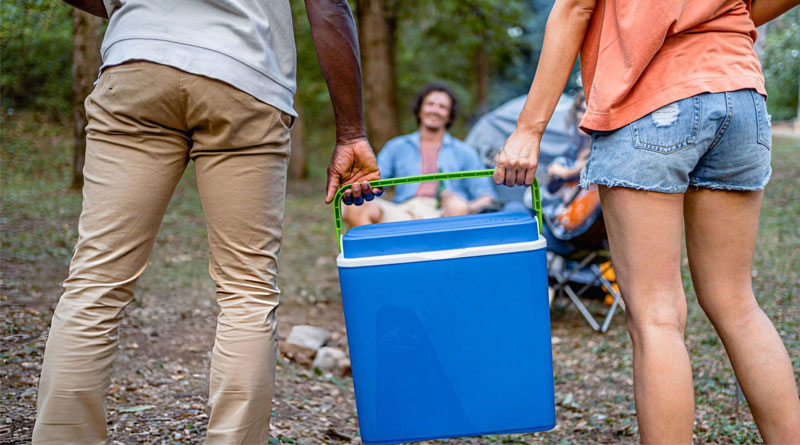 Best Budget Camping Coolers
