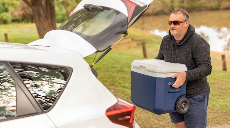 Best Camping Coolers With Wheels
