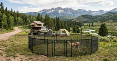 Best Portable Dog Fences For Camping