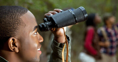 Best Budget Binoculars For Bird Watching