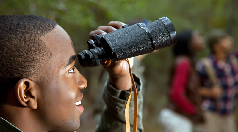 Best Budget Binoculars For Bird Watching