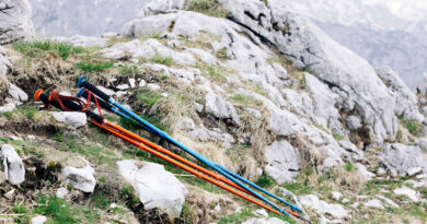 Best Ultralight Trekking Poles