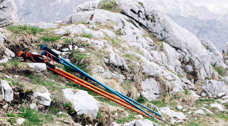 Best Ultralight Trekking Poles