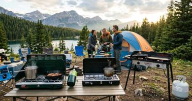 Best Propane Stoves for Camping